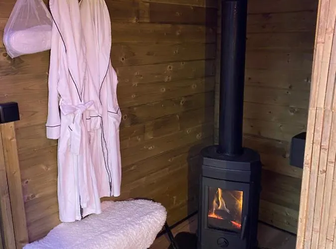 Cabane Au Style Scandinave Et Son Bain Nordique